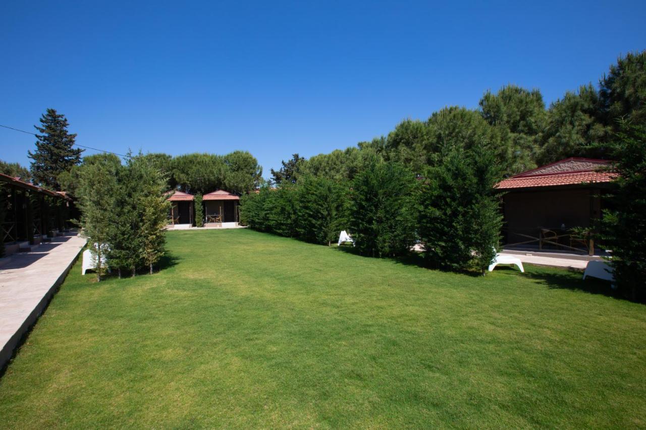 Superior Bungalow