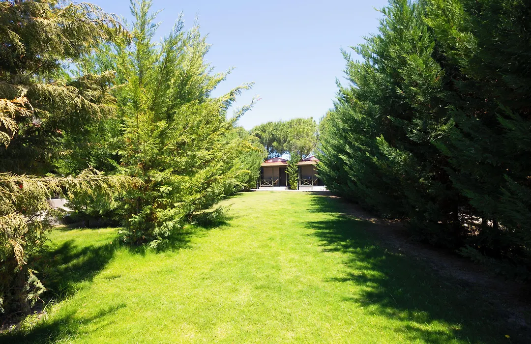 AEGEAN Apartments - Bungalows-1
